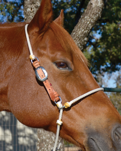 Martin Saddlery Adjustable Headsetter Tiedown: Rope (HTDRA)
