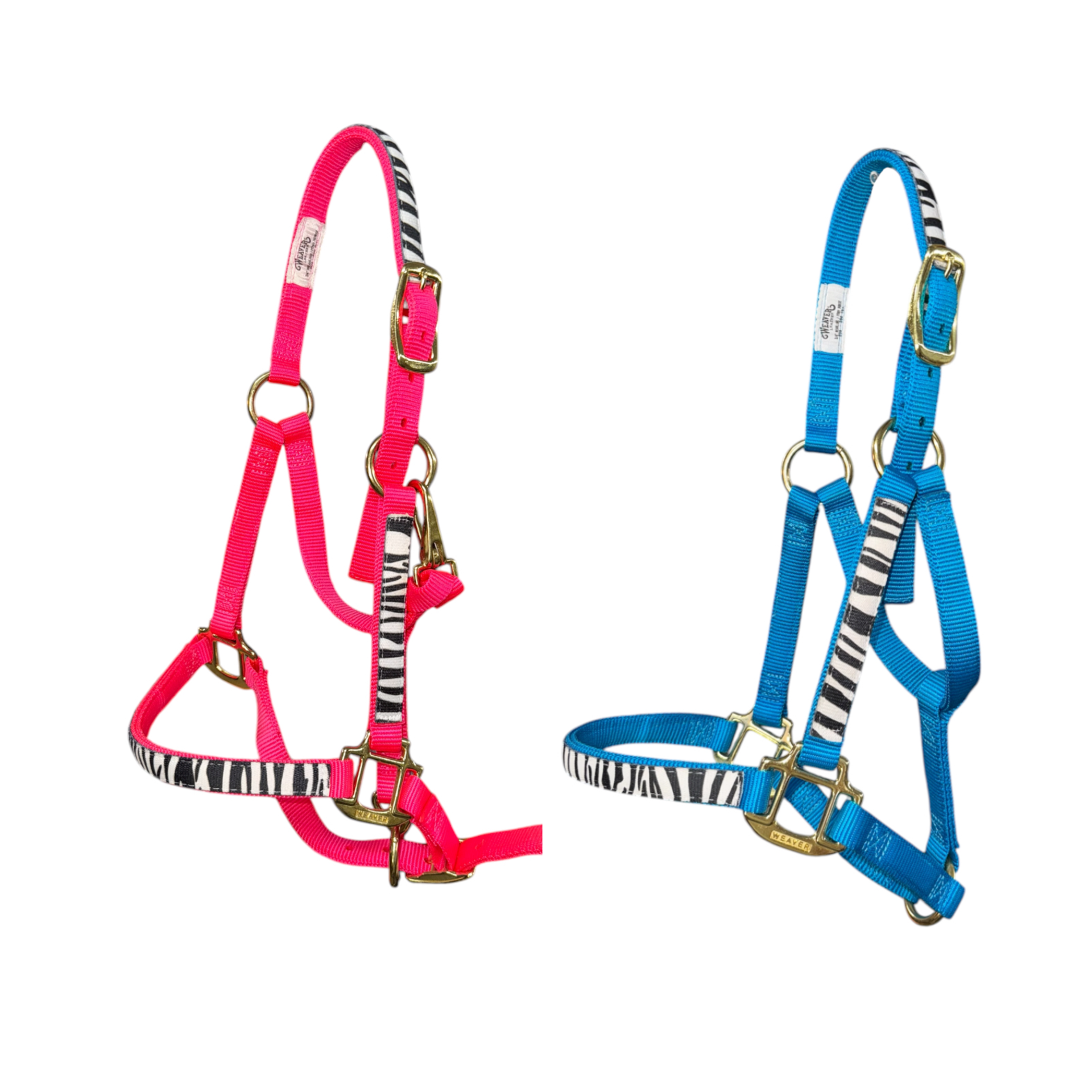 Weaver "Untamed" Zebra Print Adjustable Chin and Throat Snap Halter-Weanling/Pony Size