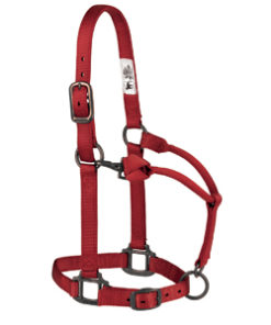 Halters & Leads