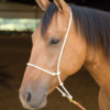 Martin Headsetter Tiedown With Rope Nose