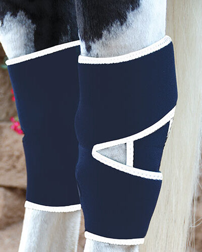 Professional’s Choice Magnetic Hock Boots