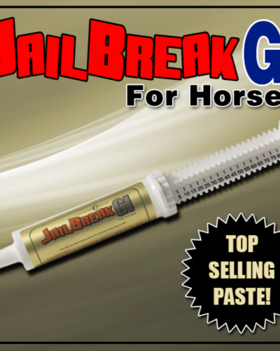 JailBreak GI (Equine) your