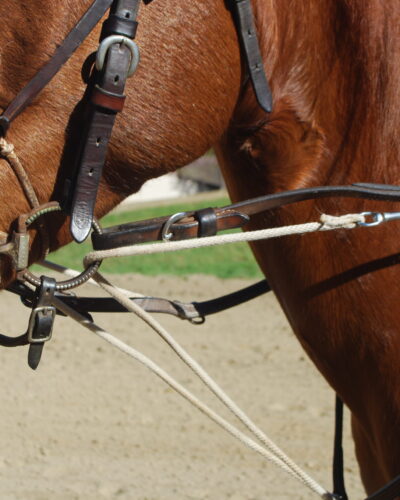 Alternative view of Adjustable Training Fork