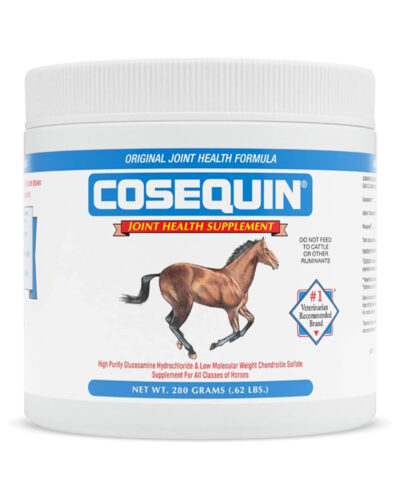 Cosequin Joint Health Supplement 280g