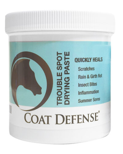 Coat Defense Trouble Spot Drying Paste