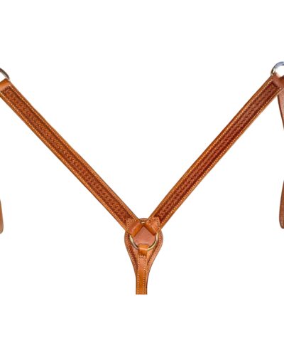Golden Spider Stamp 1-1'4'' Breastcollar