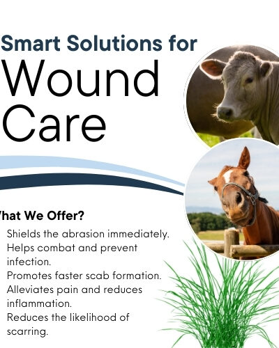 Bev's Equine Magic Salve (Corazon Therapeutics) - Image 6