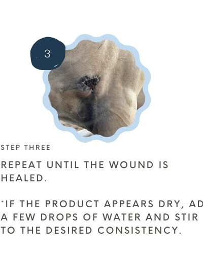 Bev's Equine Magic Salve (Corazon Therapeutics) - Image 4