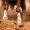 Iconoclast Orthopedic Support Boots