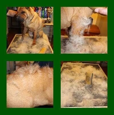 SleekEZ Grooming Tool - Image 3