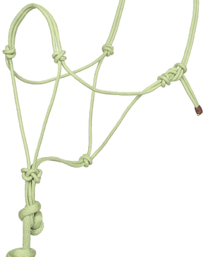 Alternative view of Bamboo Rope Halter with Lead