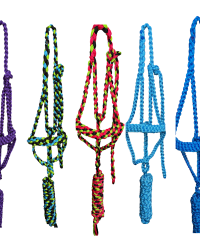 Flat Noseband Plaited Halters