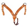 Golden Spider Stamp 2-3/4'' Breastcollar
