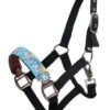 Pony Size Rainbow Pony Halter