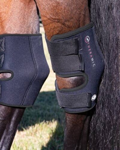 Professional's Choice Theramic Hock Boots
