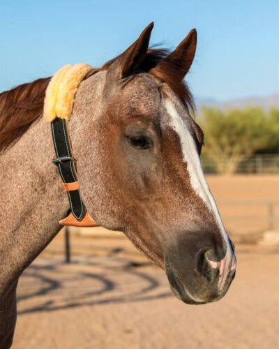 Professionals Choice-The Dare Cribbing Control Collar