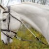Avignon de Gogue Training Aid