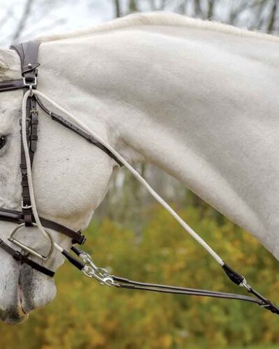 Avignon de Gogue Training Aid