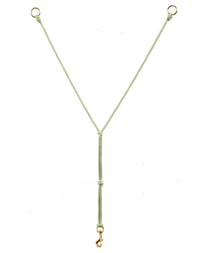 BamTex Training Fork