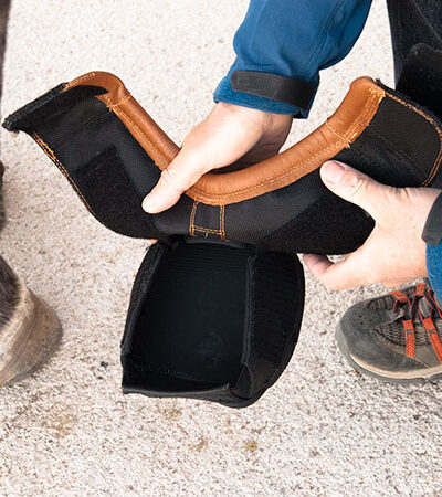 Alternative view of Easyboot Trail Original