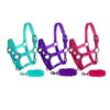 Pony Size Nylon Halter & Lead Rope Set