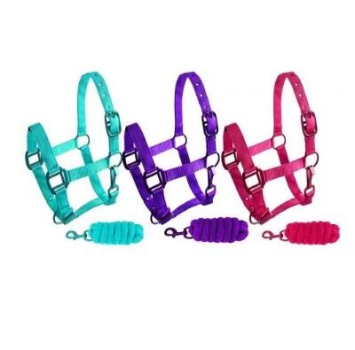 Pony Size Nylon Halter & Lead Rope Set