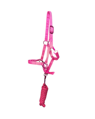 Alternative view of Pony Size Nylon Halter & Lead Rope Set