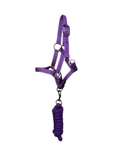 Pony Size Nylon Halter & Lead Rope Set - Image 4