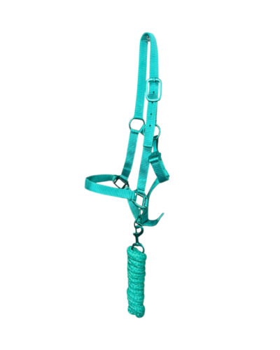 Pony Size Nylon Halter & Lead Rope Set - Image 3