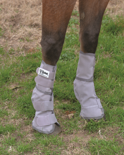 Crusader Leg Guards