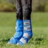 Crusader Leg Guards - Horse-Blue