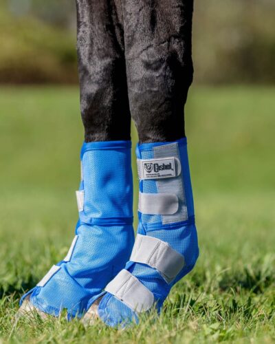 Alternative view of Crusader Leg Guards