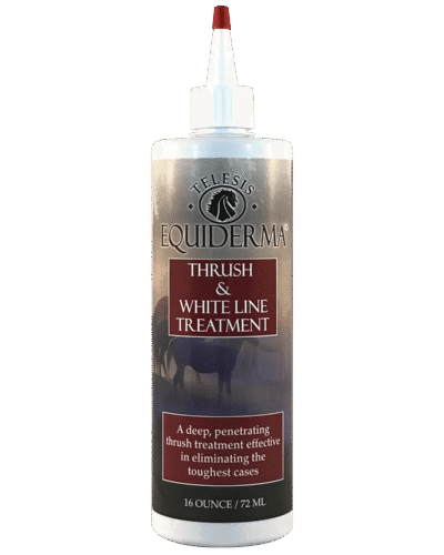 Equiderma Thrush & Whiteline Treatment