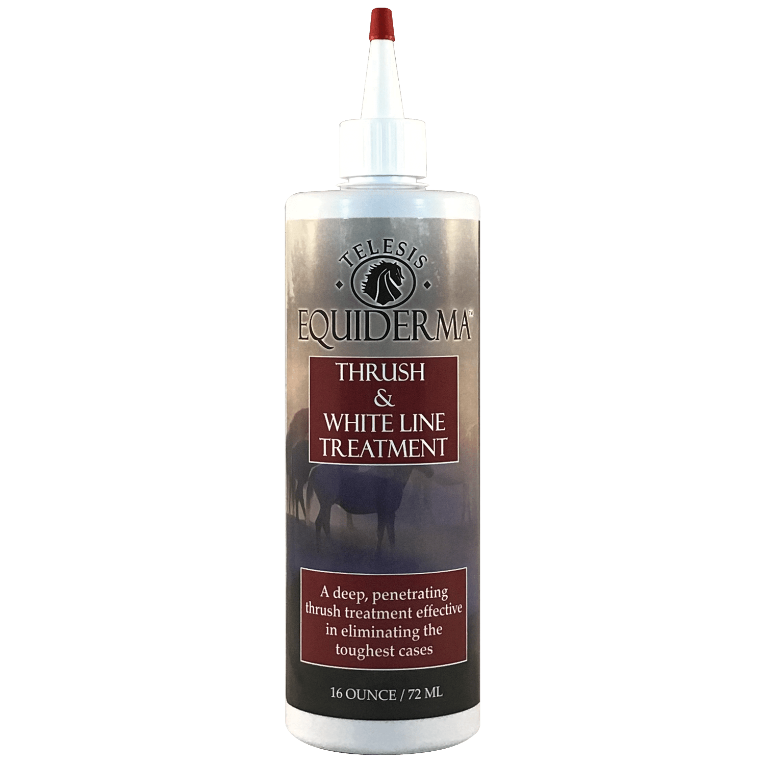 Equiderma Thrush & Whiteline Treatment