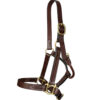 Weaver 3-In-1 All Purpose Halter