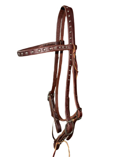 Heavy Oiled Dotted Double Buckle Browband Headstall