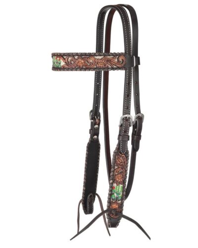 Circle Y Cactus Country Browband Headstall
