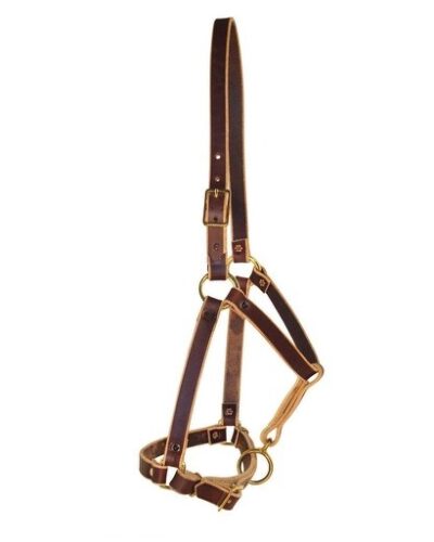 Berlin Leather Riveted Yearling Halter