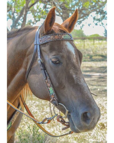 Alternative view of Circle Y Cactus Country Browband Headstall