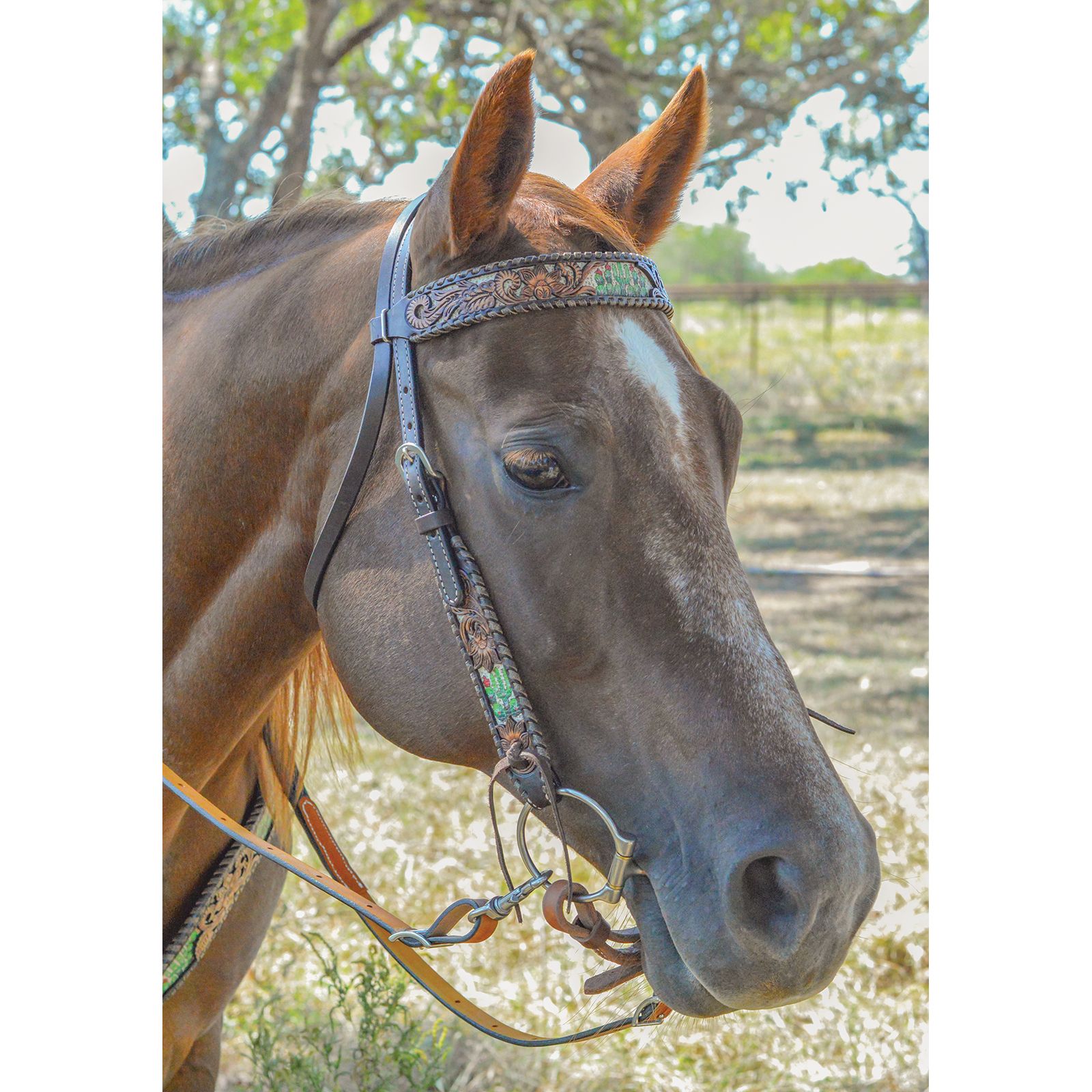 COUNTRY LEGEND COPPER CACTUSï¿½ONE EAR HEADSTALL