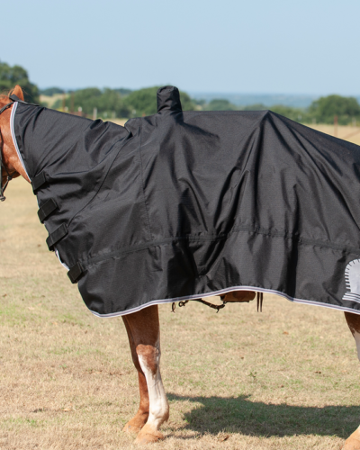 Classic Equine Horse And Saddle Cover