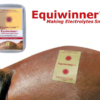 Equiwinner Equine Non-Transdermal Patches (Box of 10)