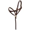 Weaver Figure 8 Foal Halter