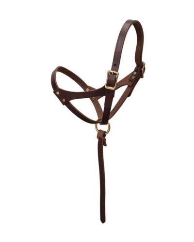 Weaver Figure 8 Foal Halter