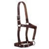Weaver Riveted Weanling Halter