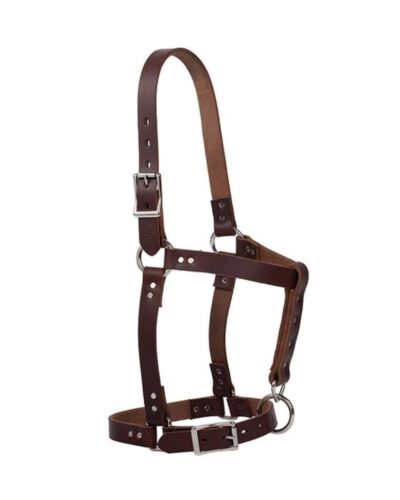 Weaver Riveted Weanling Halter