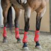 Reinsman Apex Sport Boots