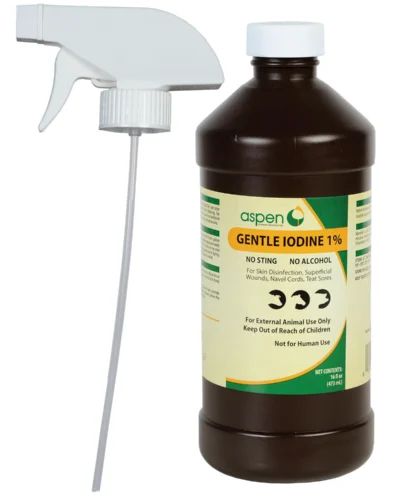 Gentle Iodine 1% 16oz