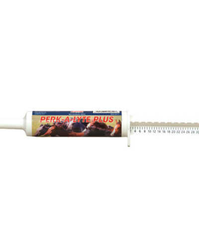 Perk-A-Lyte Plus 1.5oz Paste Syringe