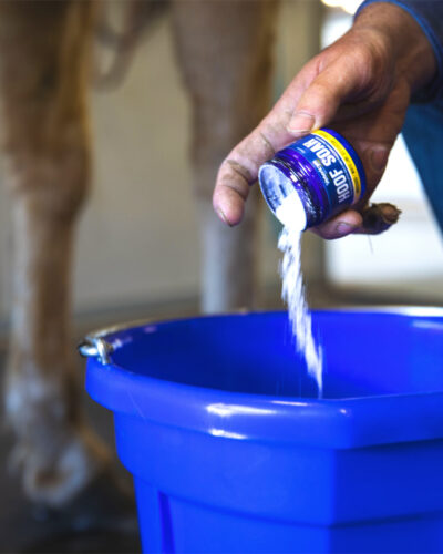 Alternative view of Vetericyn Hoof Soak